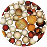 Filtra materiāls Ecomix C